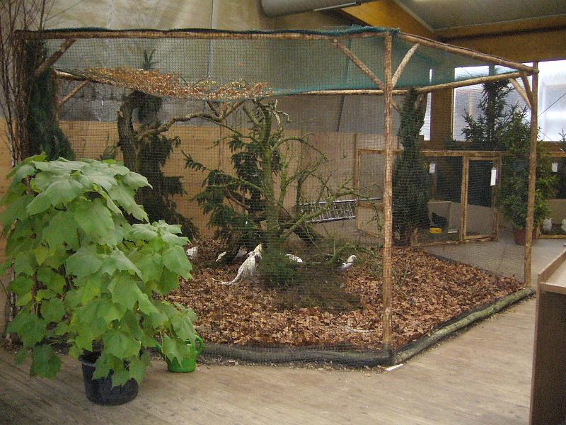 Kreisschau Coesfeld 2008 015.jpg - Schauimpressionen der Kreisschau Coesfeld 2008